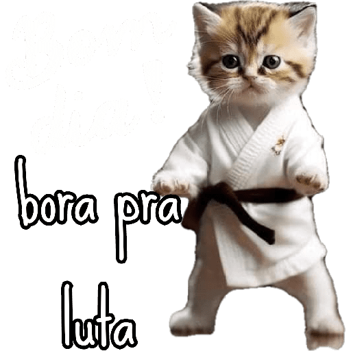 Bom dia☀️ 3