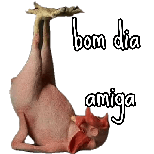 Bom dia☀️ 6