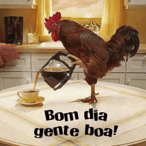 Bom dia☀️ 9