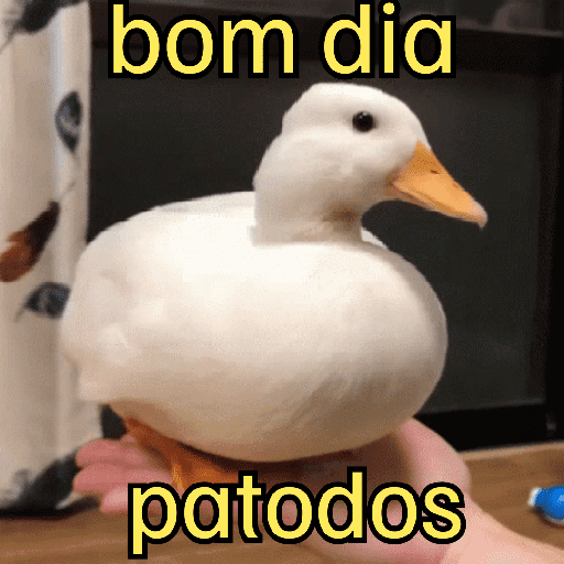 Bom dia☀️ 10