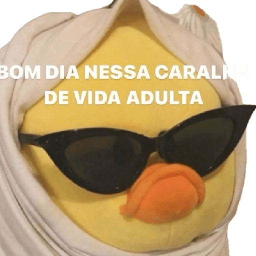 Bom dia☀️ 12