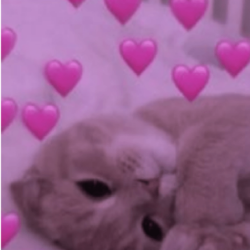 Cachorros e gatos fofos 9
