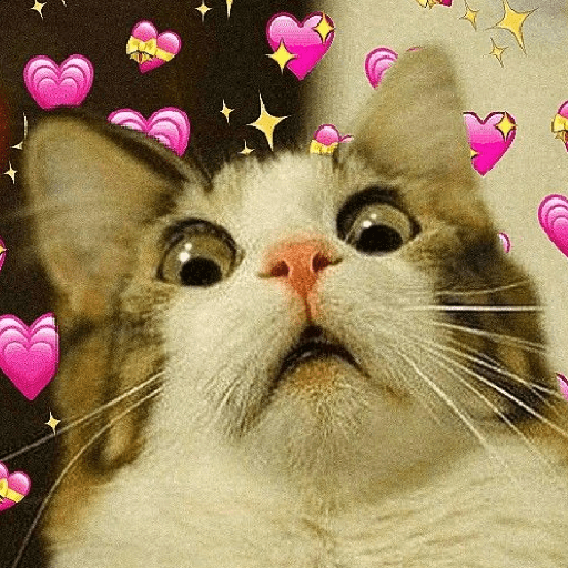 Cachorros e gatos fofos 14