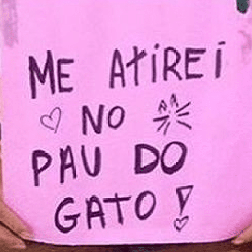 Placas carnaval 11