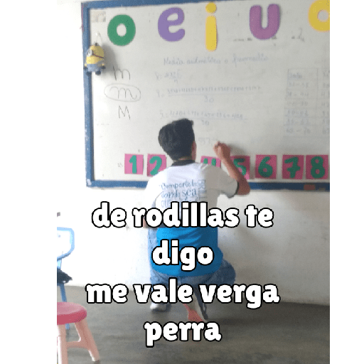 Ángel xd 15
