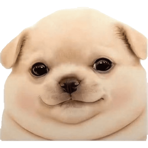 Límmiði