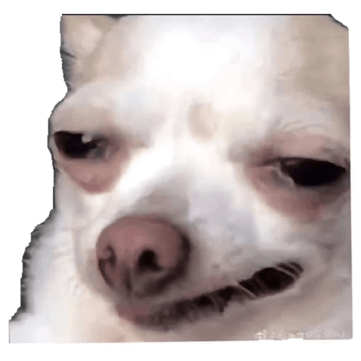 Límmiði