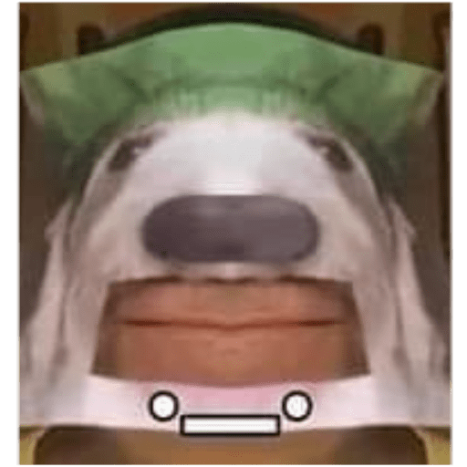 Memes 8 21