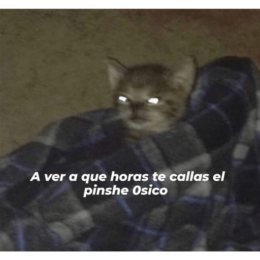 Memes 8 1