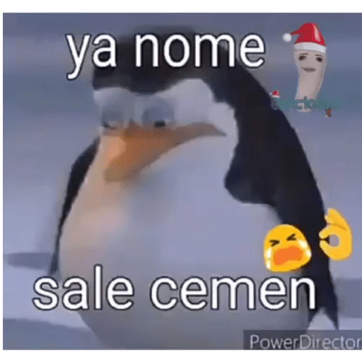 Memes 8 20