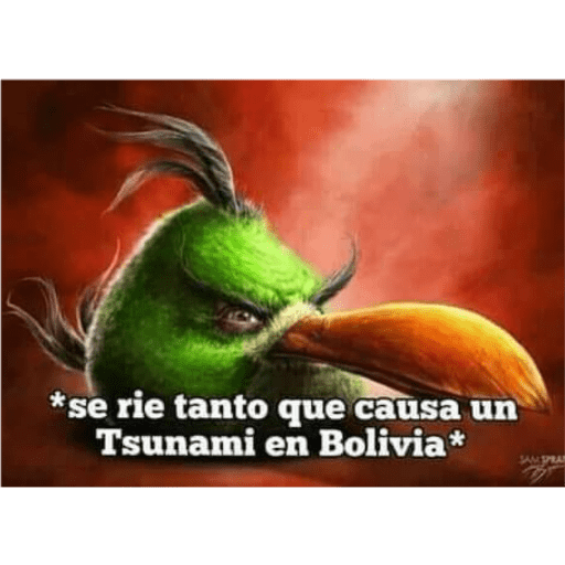 Memes 8 23