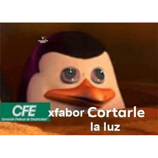 Memes 8 28