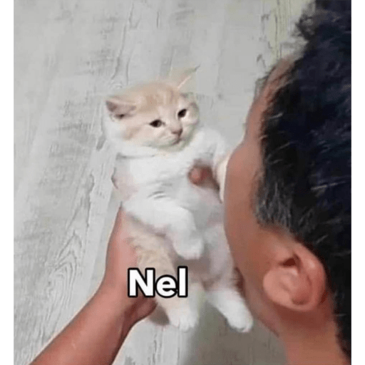Memes 8 7