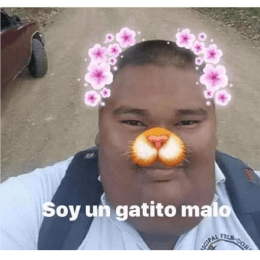 Memes 8 10