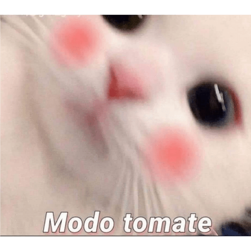 Memes 8 29