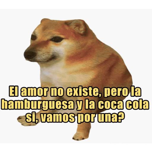 Jsjsknd 22
