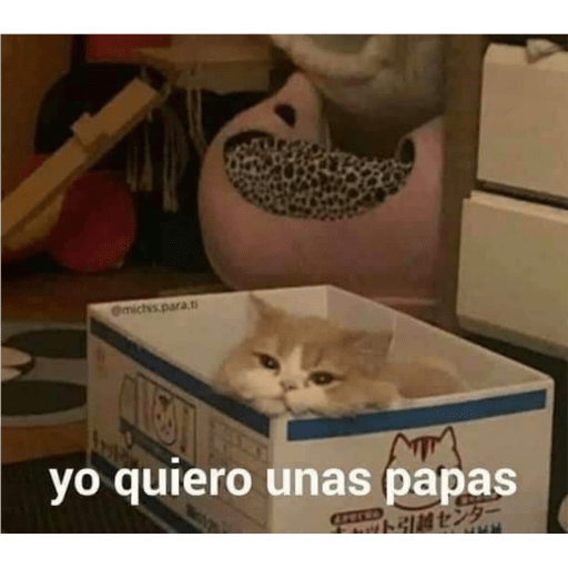 Jsjsknd 9