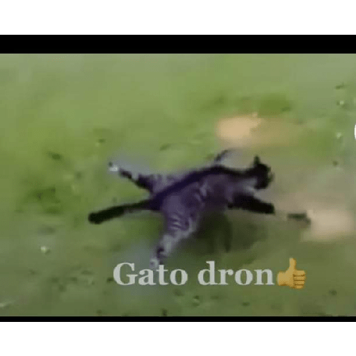 Memes 8 27