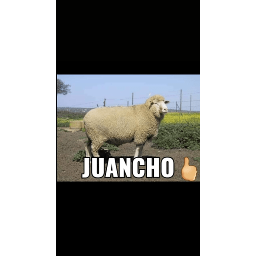 Memes 8 28