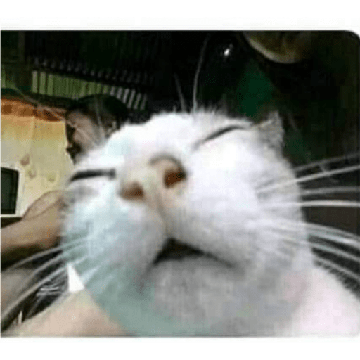 Memes 8 8