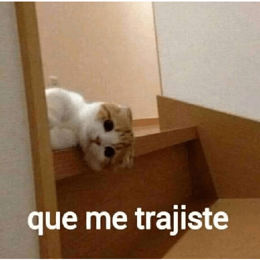 Memes 8 19