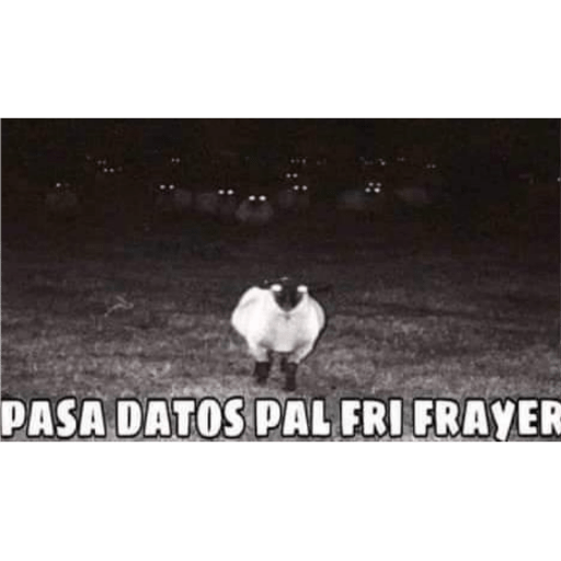 Memes 8 16