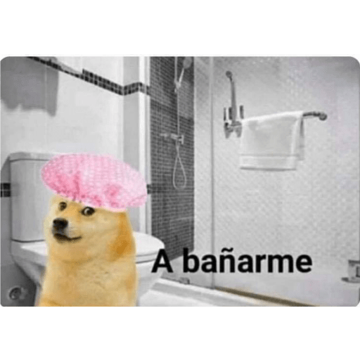 Memes 8 10