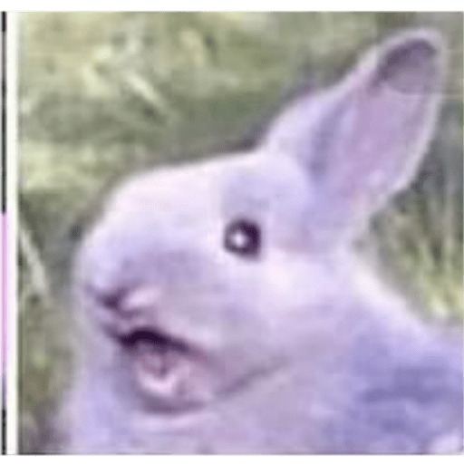 Memes 8 4