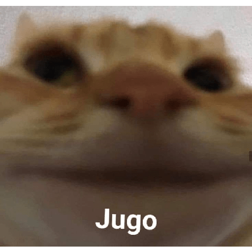 Memes 8 20