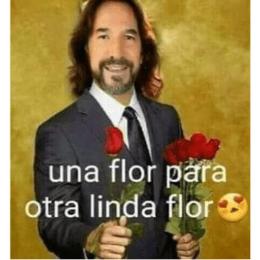 Memes 8 15