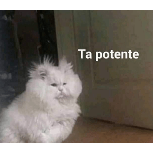 Memes 8 17