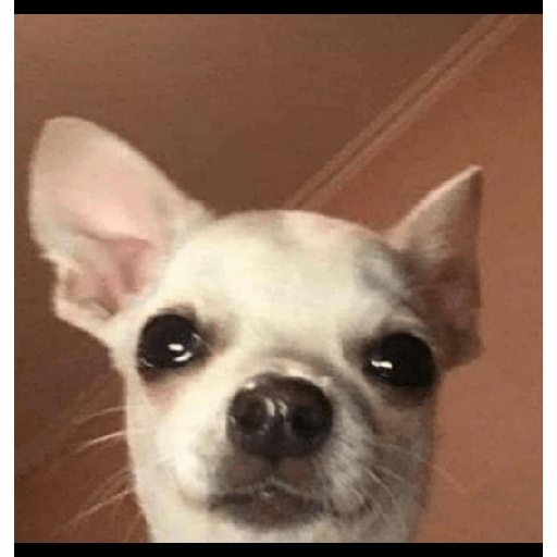 Hjcjvv