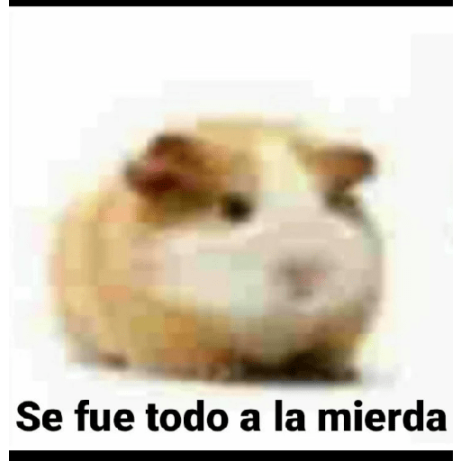 Hjcjvv 22