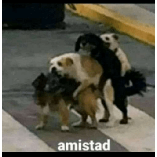 Hjcjvv 18