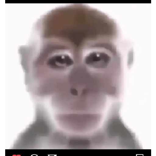 Hjcjvv 11