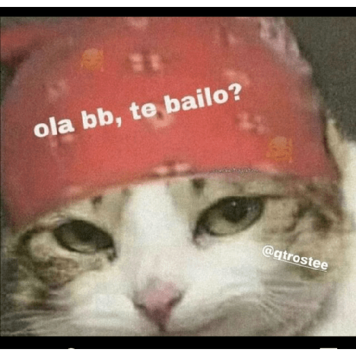 Hjcjvv 19