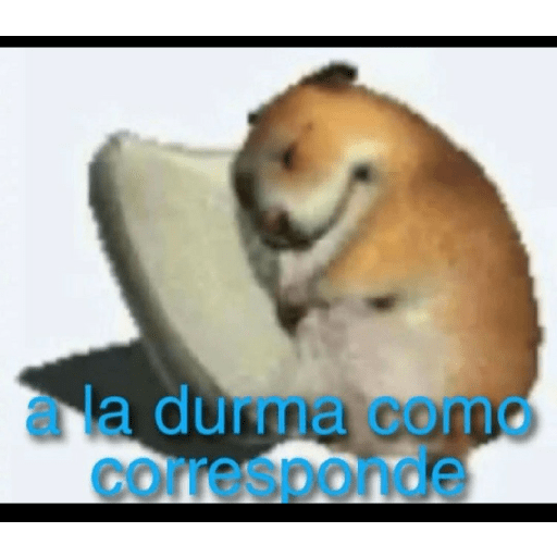 Hjcjvv 4