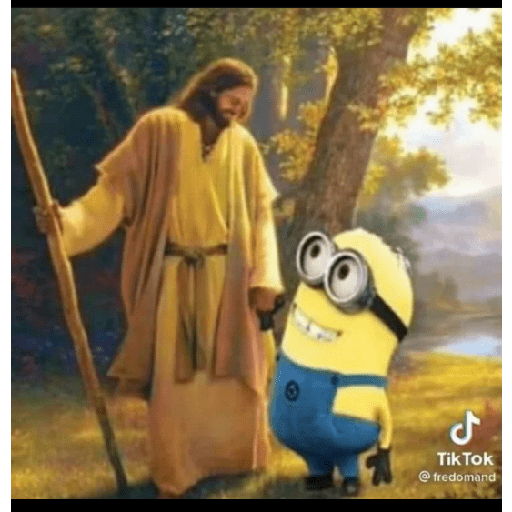 Hjcjvv 2
