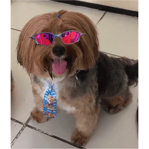 Sticker Image