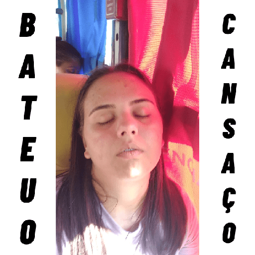 Minhas figurinhas 3