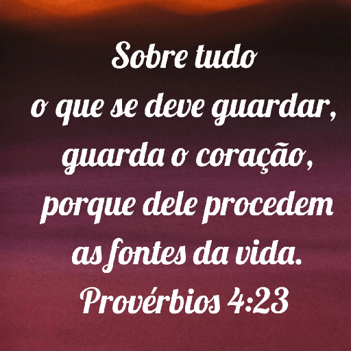 Versículos biblicos 29