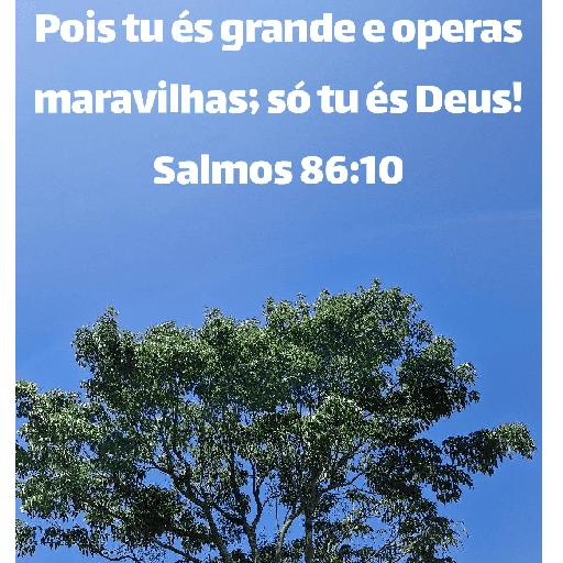 Versículos biblicos 25