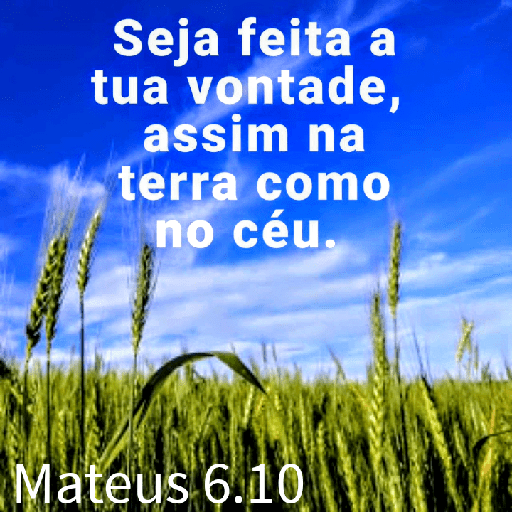 Versículos biblicos 24