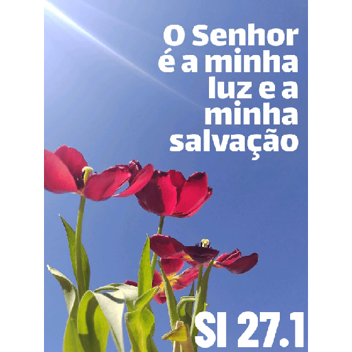 Versículos biblicos 5