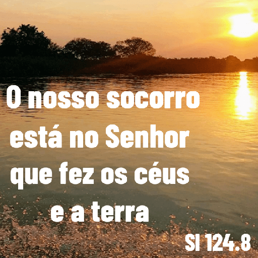 Versículos biblicos 7