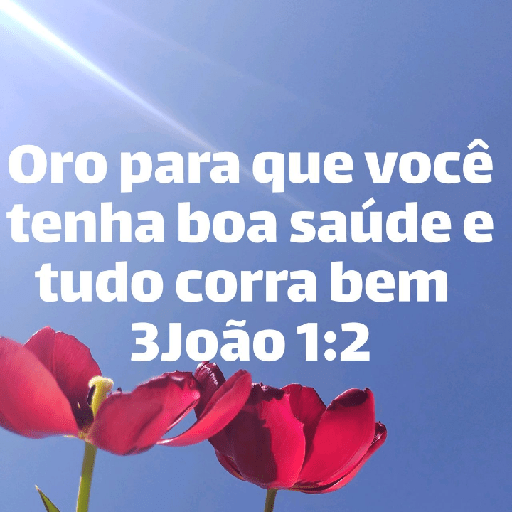 Versículos biblicos 11