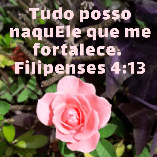 Versículos biblicos 1