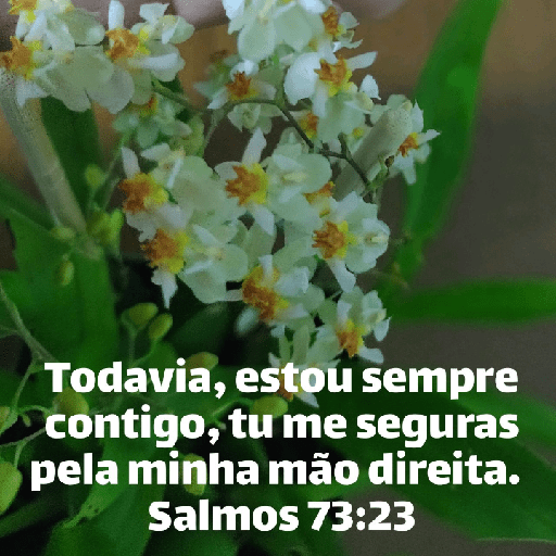 Versículos biblicos 16