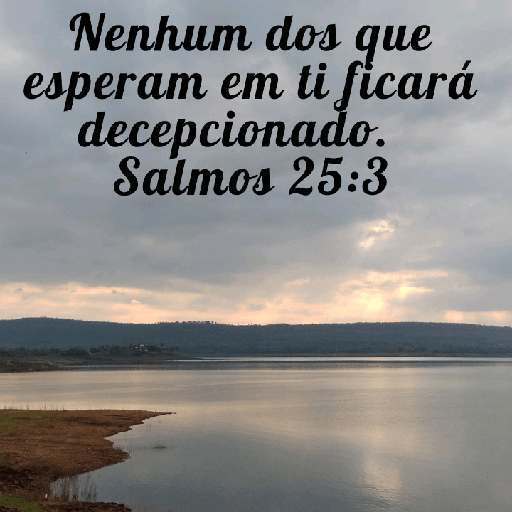 Versículos biblicos 6