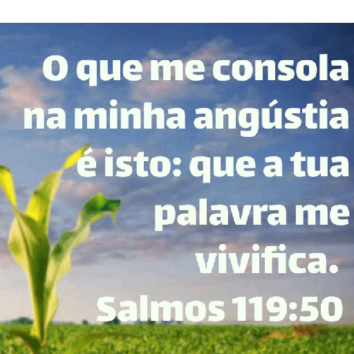 Versículos biblicos 3
